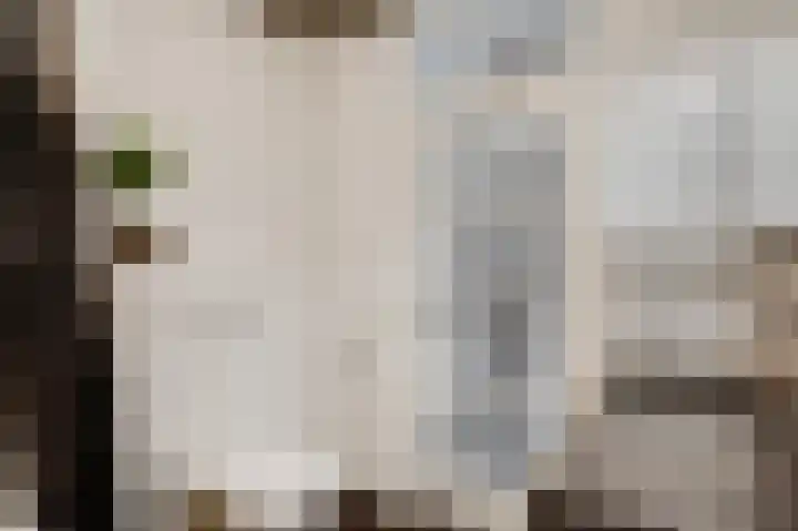 Kloppe-ven 11 Horn thumbnail 29