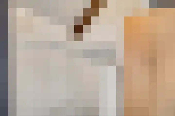 Kloppe-ven 11 Horn thumbnail 30