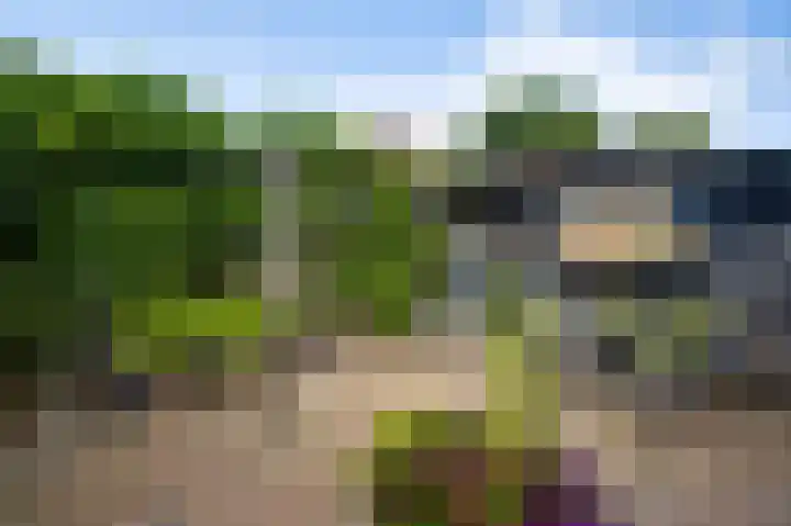 Kloppe-ven 11 Horn thumbnail 32
