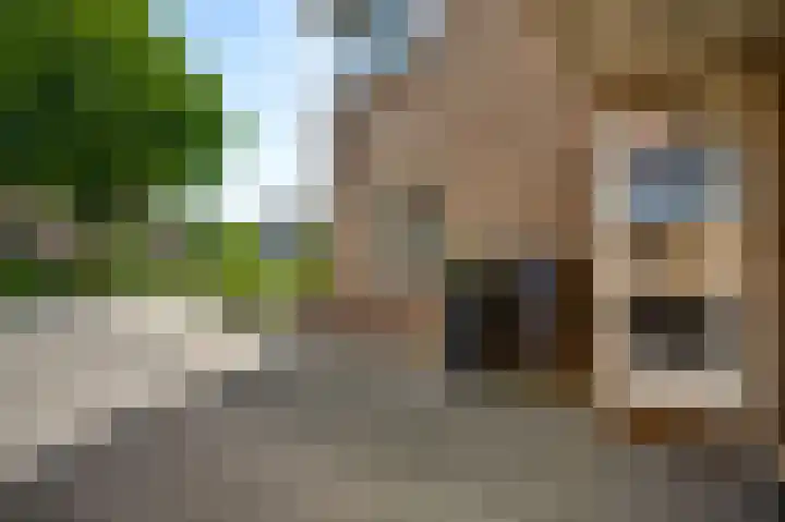 Kloppe-ven 11 Horn thumbnail 5