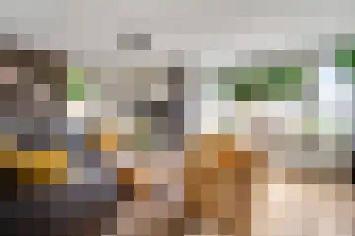 Kloppe-ven 11 Horn thumbnail 7