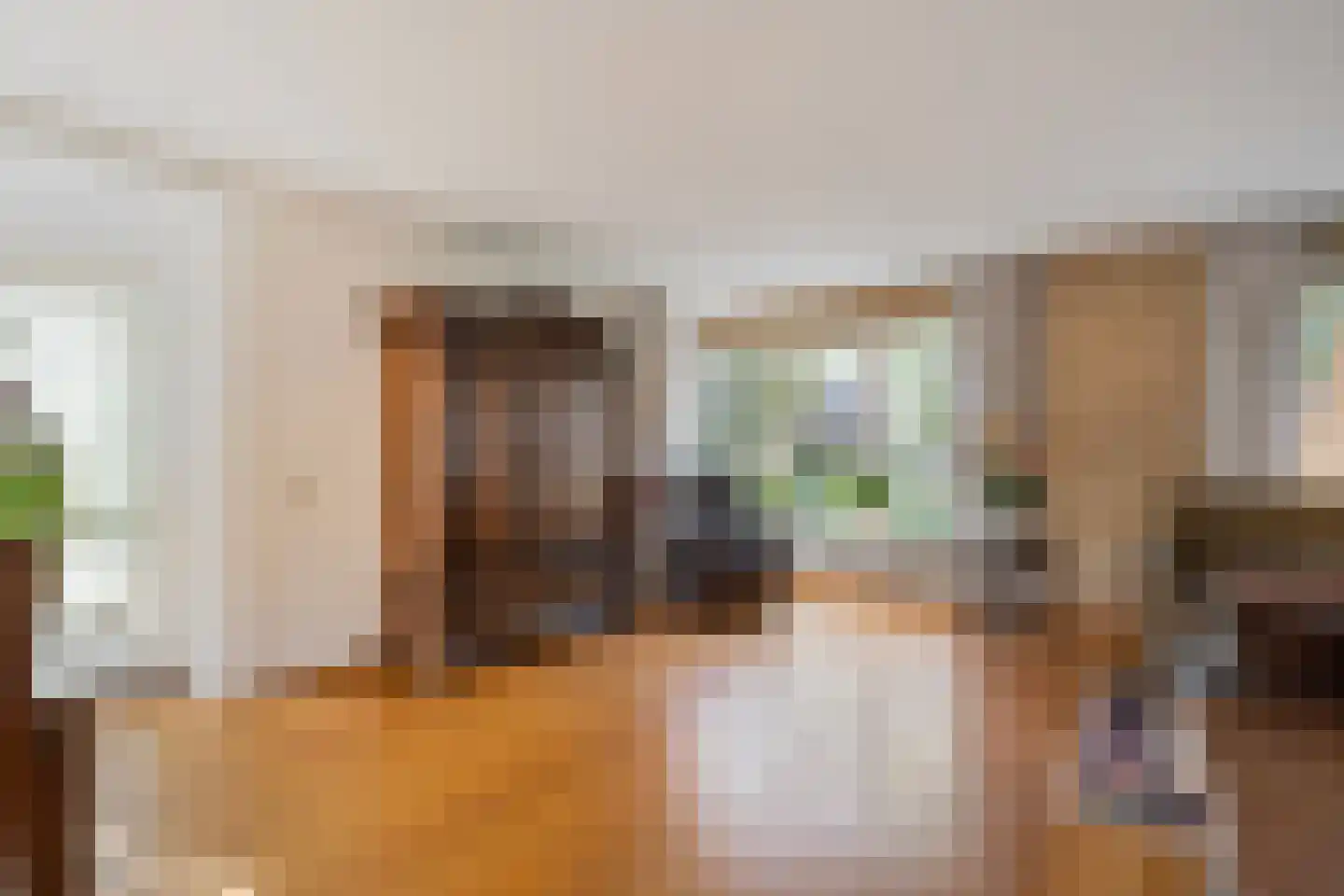 Kloppendijk 2 Denekamp thumbnail 6