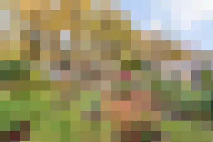 Kloppendijk 74 Denekamp thumbnail 18