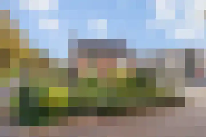 Kloppendijk 74 Denekamp thumbnail 6