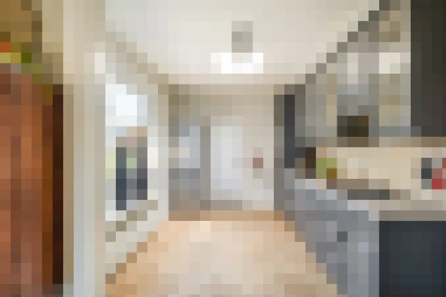 Kloppenstraat 121 Losser thumbnail 14