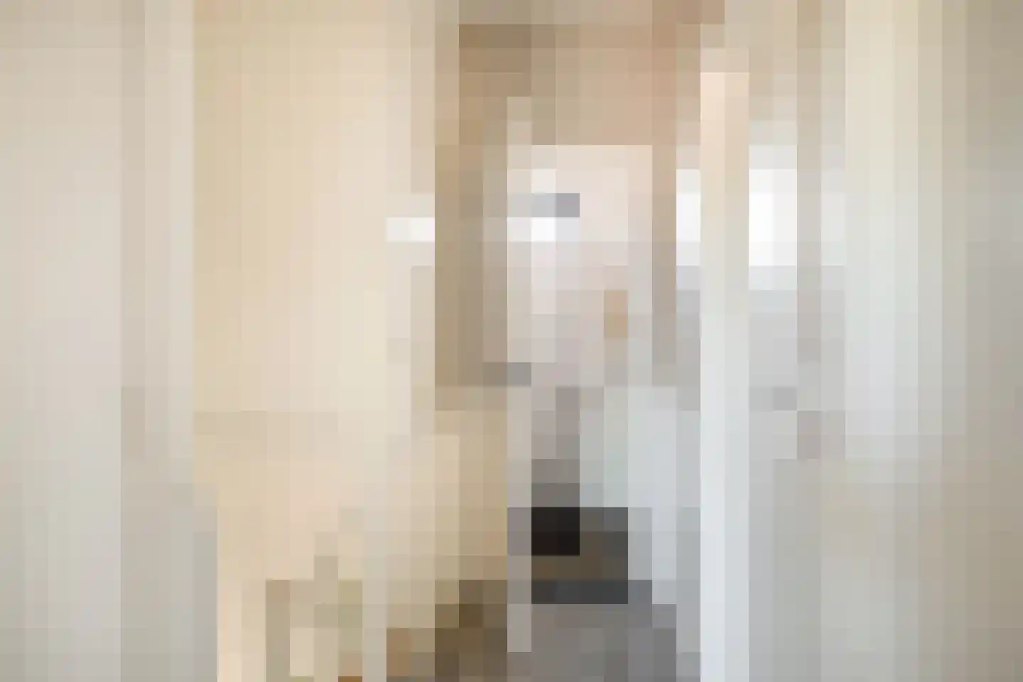 Kloppenstraat 121 Losser thumbnail 17