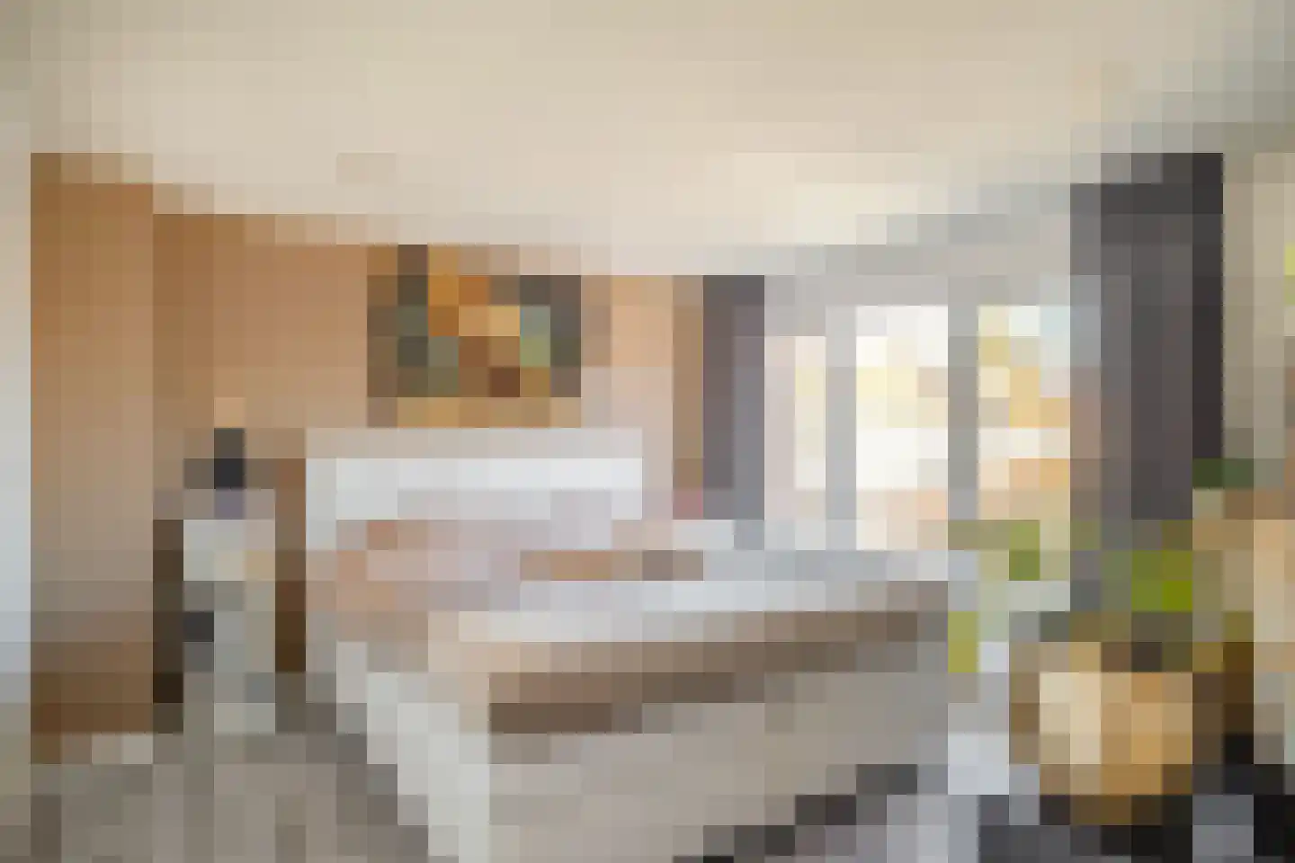 Kloppenstraat 121 Losser thumbnail 18
