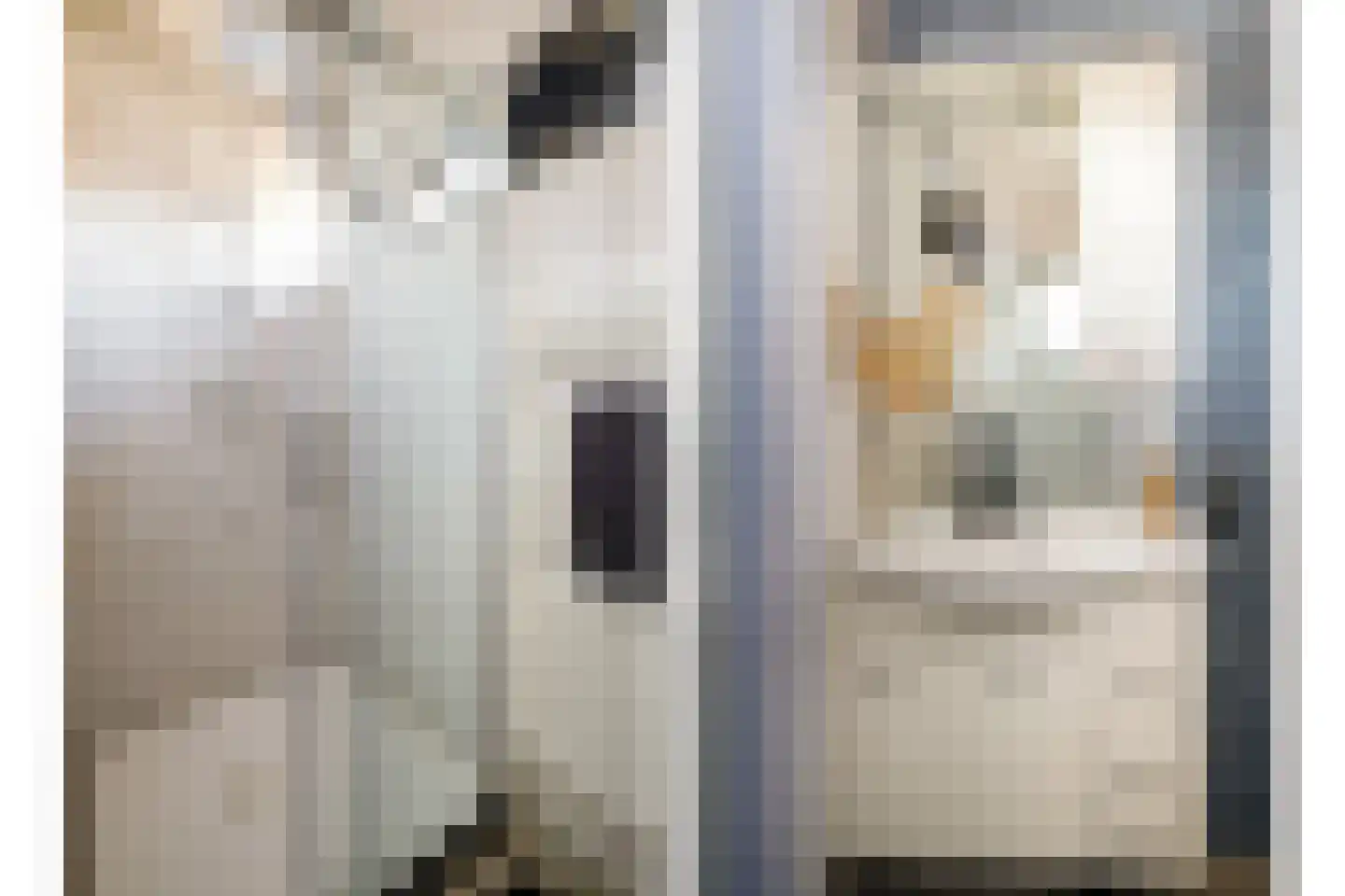 Kloppenstraat 121 Losser thumbnail 24