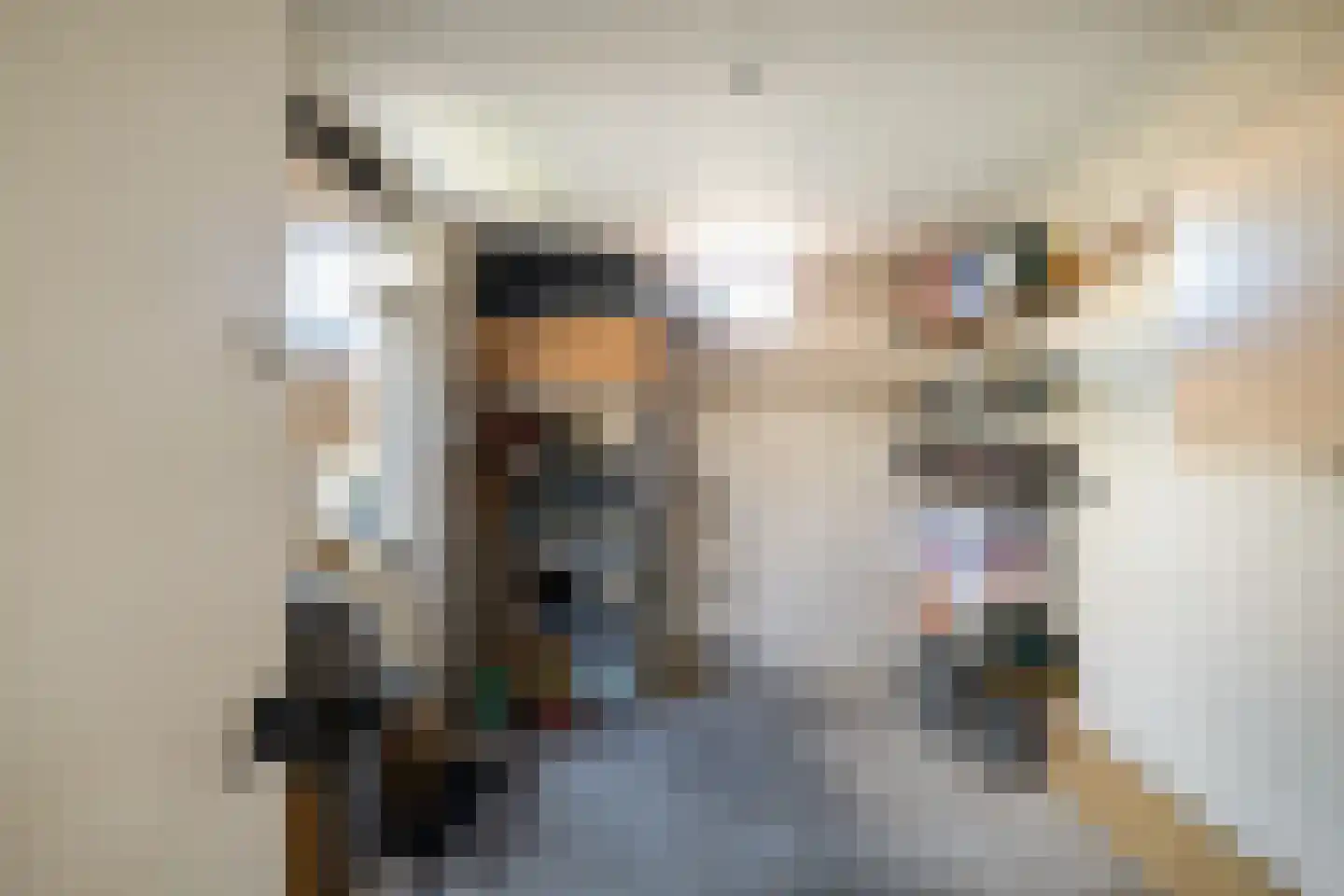 Kloppenstraat 121 Losser thumbnail 25