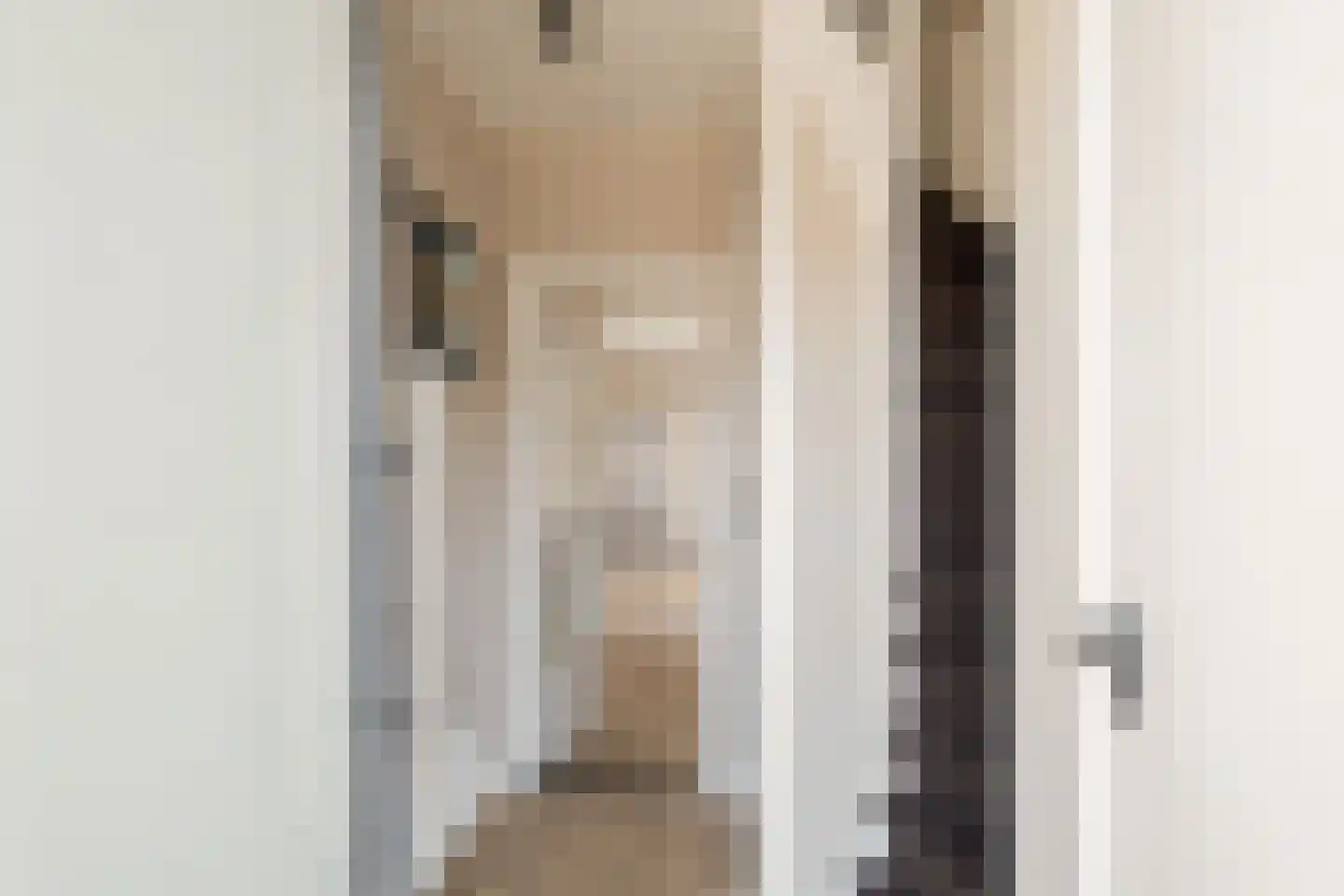Kloppenstraat 121 Losser thumbnail 6