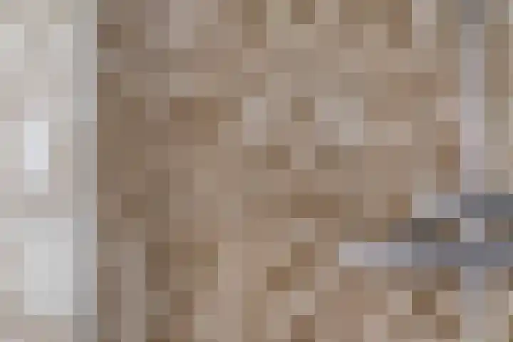 Kloppenstraat 22 Losser thumbnail 29