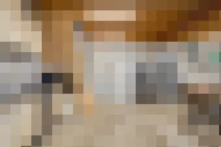Kloppenstraat 22 Losser thumbnail 34