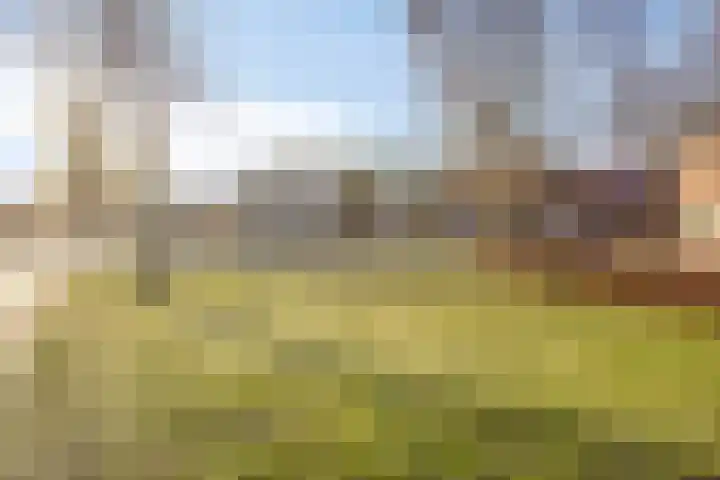 Kloppenstraat 22 Losser thumbnail 43