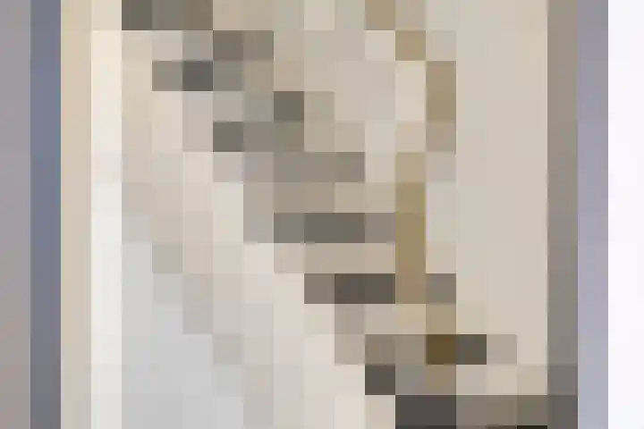 Kloppenstraat 22 Losser thumbnail 8