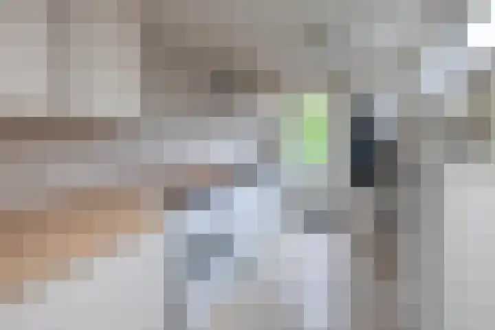 Kloppenstraat 63 Losser thumbnail 10