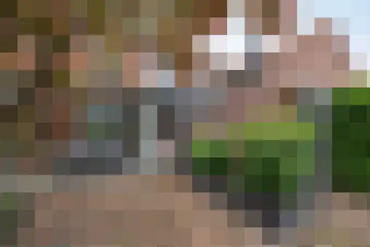 Kloppenstraat 63 Losser thumbnail 18