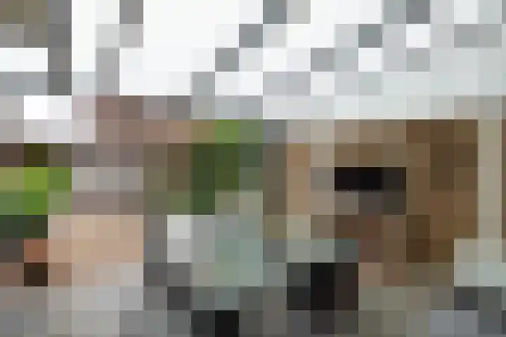 Kloppenstraat 63 Losser thumbnail 20
