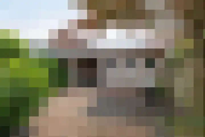 Kloppenstraat 63 Losser thumbnail 21