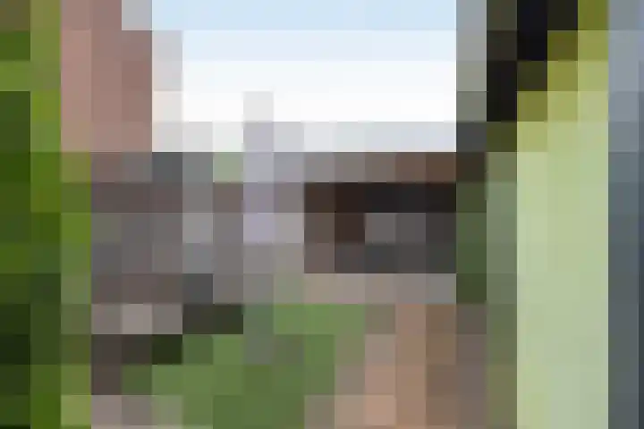 Kloppenstraat 63 Losser thumbnail 23