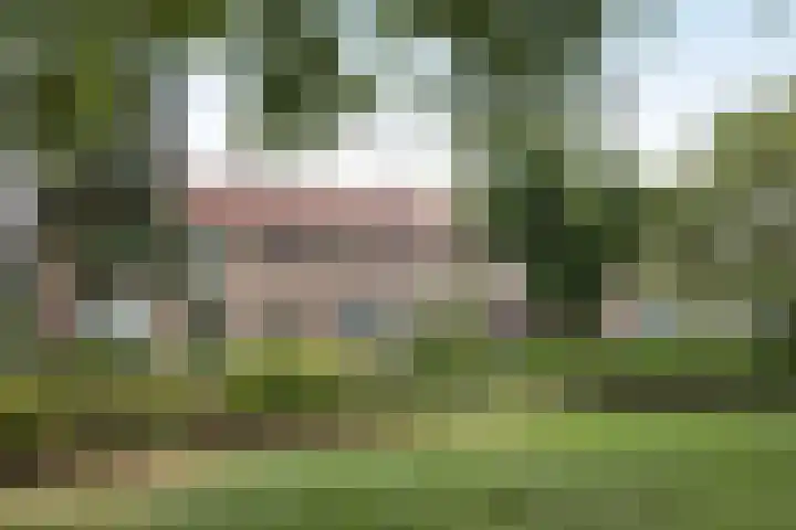 Kloppenstraat 63 Losser thumbnail 4