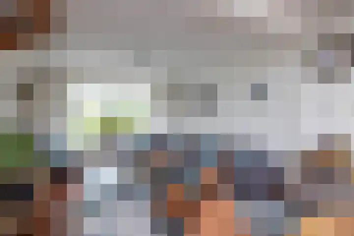Kloppenstraat 63 Losser thumbnail 5