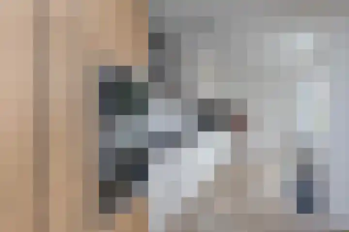 Kloppenstraat 63 Losser thumbnail 9