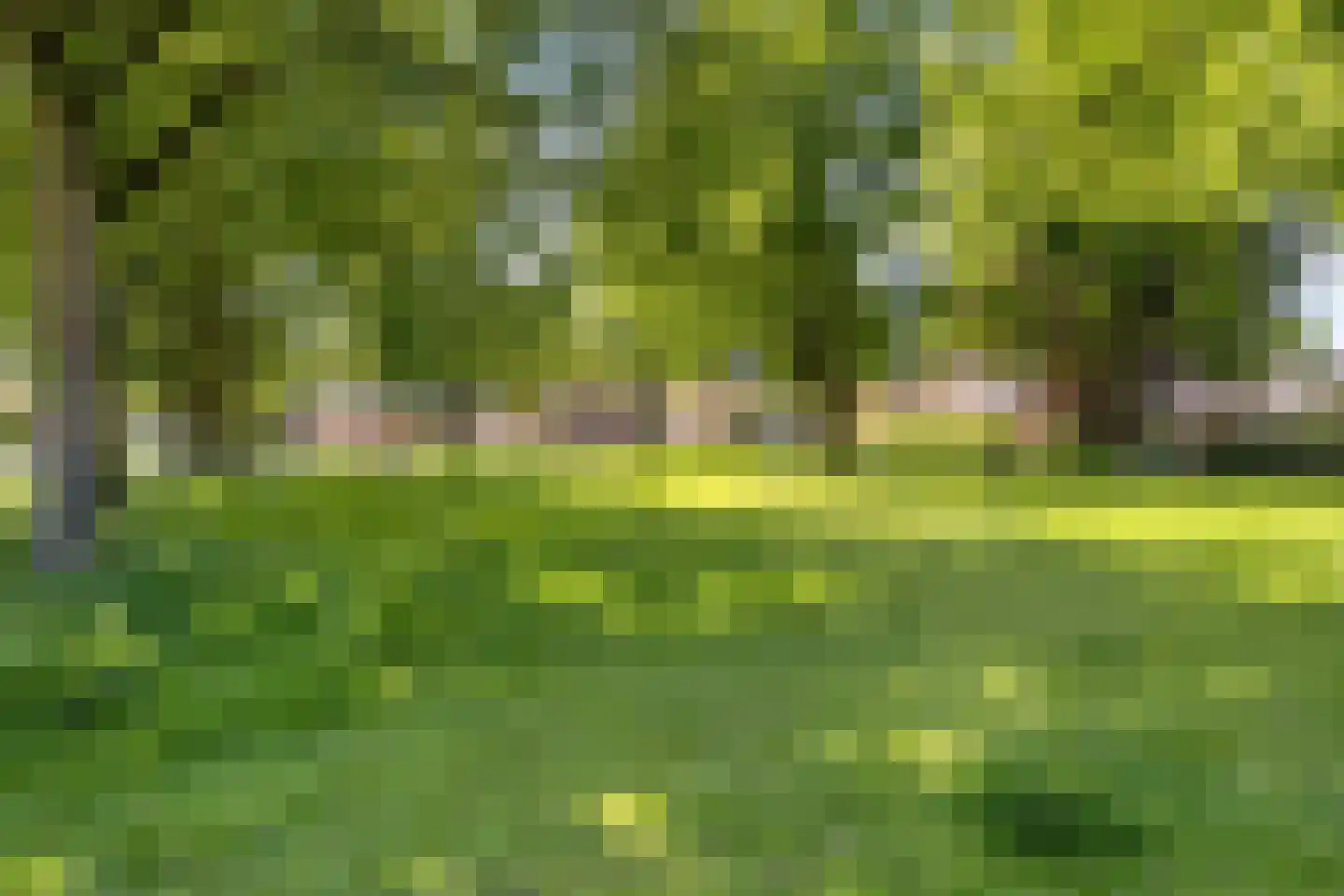 Kloppenstraat 85 Losser thumbnail 22