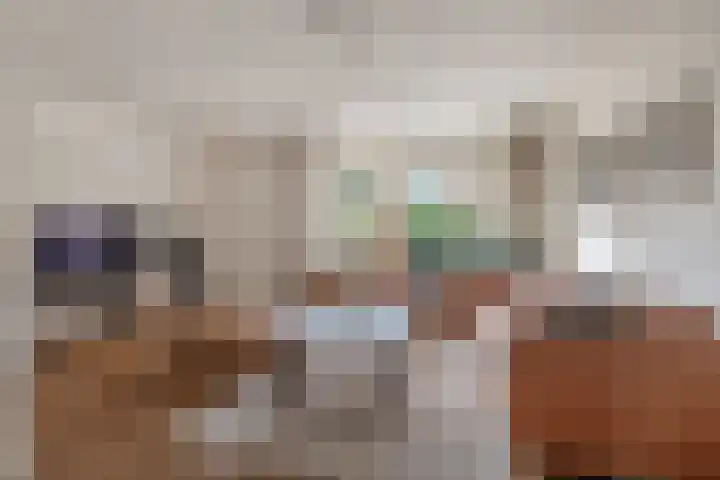 Kloppersakker 23 Zaltbommel thumbnail 10