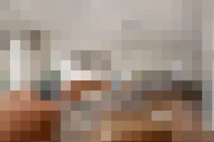 Kloppersakker 23 Zaltbommel thumbnail 11