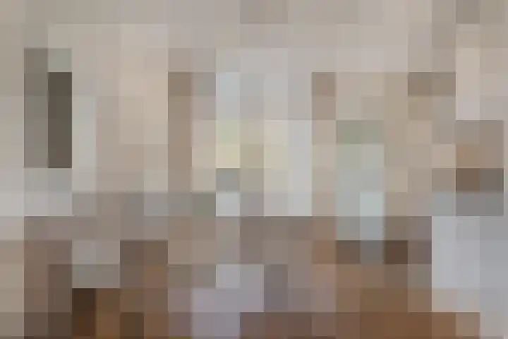 Kloppersakker 23 Zaltbommel thumbnail 12