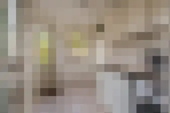 Kloppersakker 23 Zaltbommel thumbnail 14