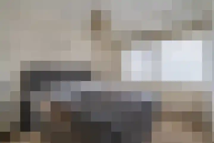 Kloppersakker 23 Zaltbommel thumbnail 20