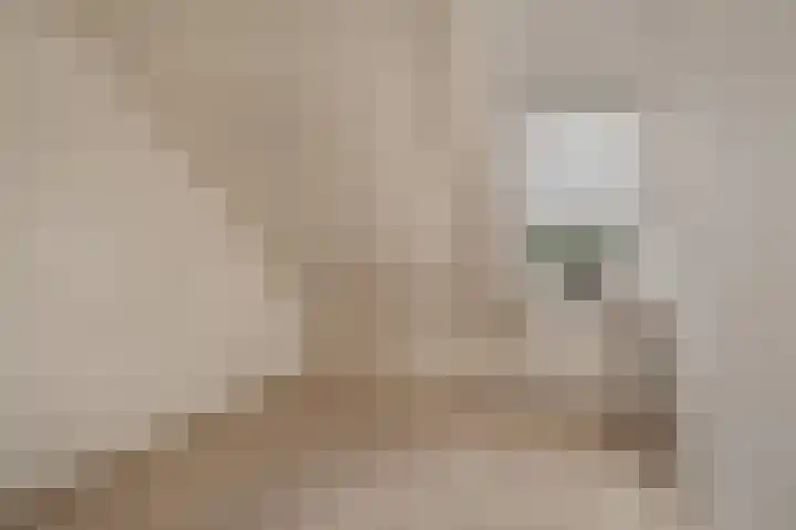 Kloppersakker 23 Zaltbommel thumbnail 21