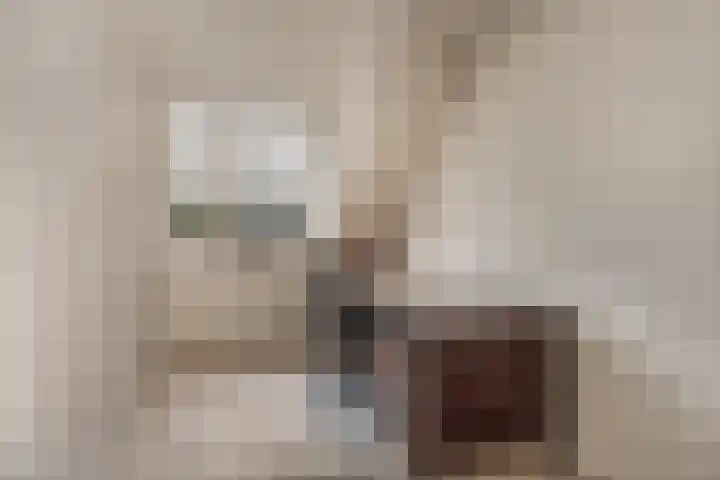 Kloppersakker 23 Zaltbommel thumbnail 22