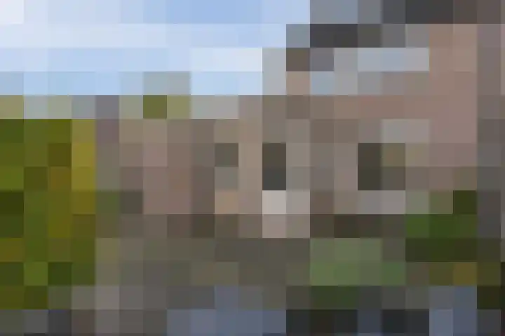 Kloppersakker 23 Zaltbommel thumbnail 27