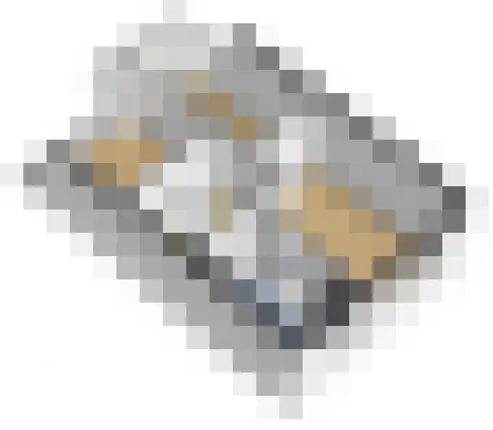 Kloppersakker 23 Zaltbommel thumbnail 36