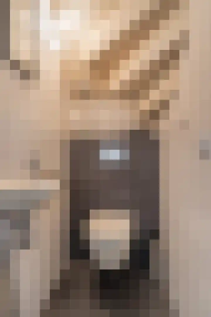 Kloppersakker 23 Zaltbommel thumbnail 8