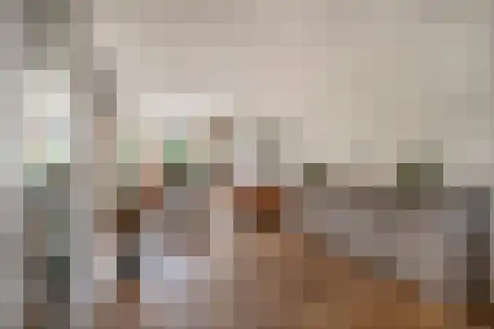 Kloppersakker 23 Zaltbommel thumbnail 9