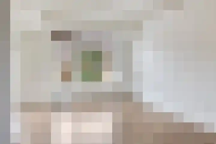 Kloppersingel 121 Haarlem thumbnail 10