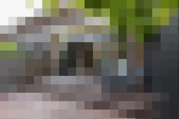 Kloppersingel 141 Haarlem thumbnail 19
