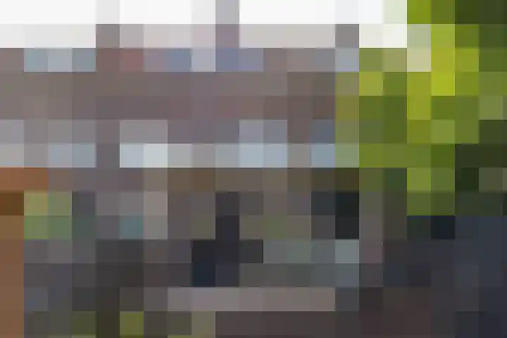 Kloppersingel 141 Haarlem thumbnail 20