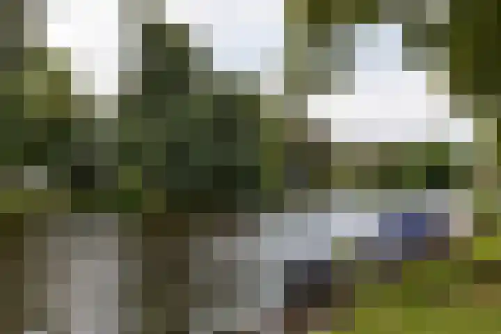 Kloppersingel 141 Haarlem thumbnail 39