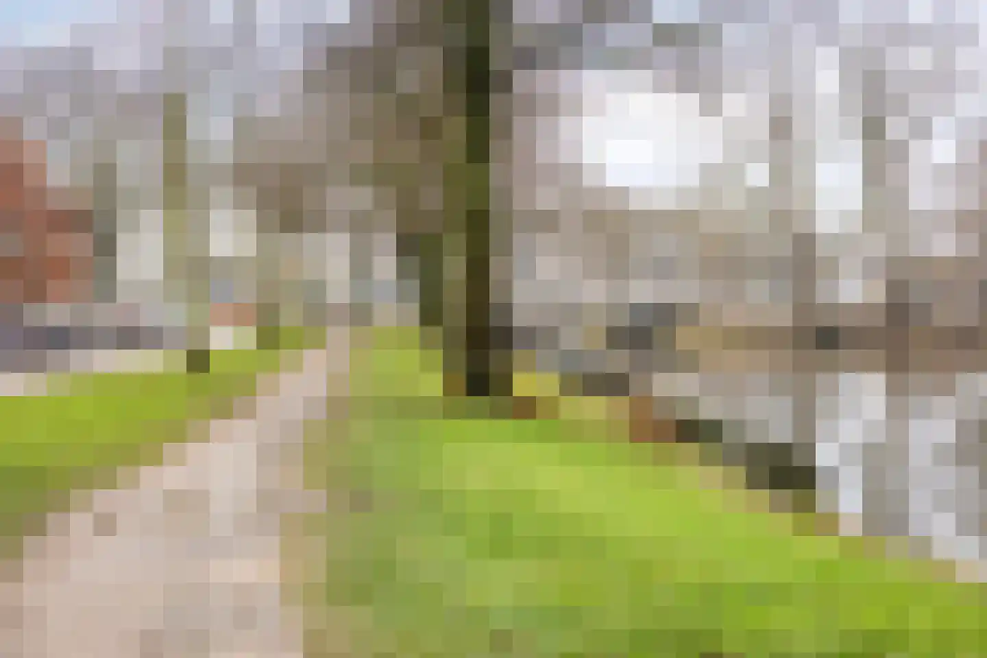 Kloppersingel 171 Haarlem thumbnail 42