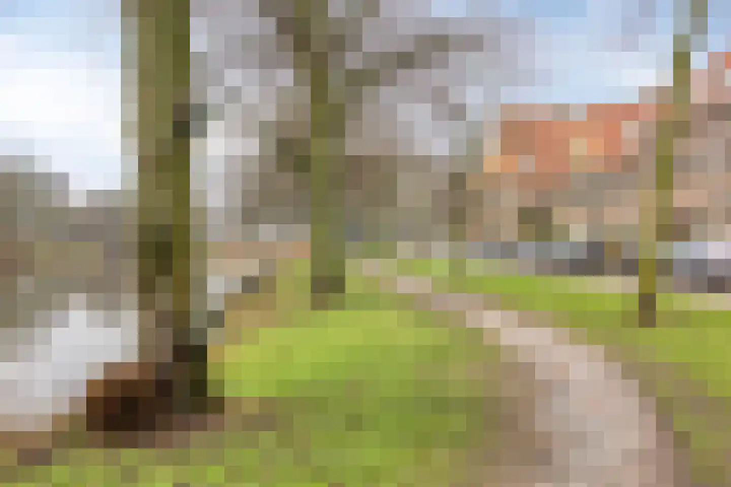 Kloppersingel 171 Haarlem thumbnail 43
