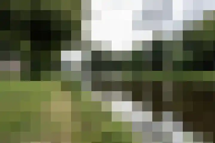 Kloppersingel 25 Haarlem thumbnail 11