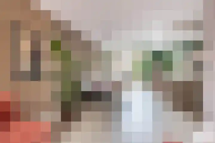 Kloppersingel 25 Haarlem thumbnail 12