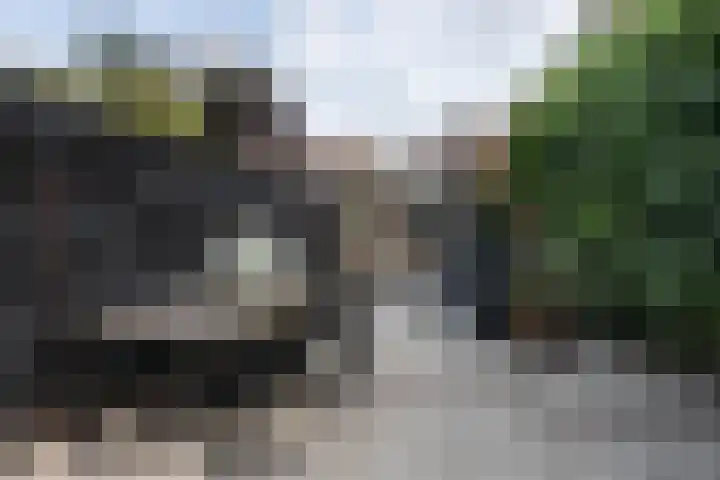 Kloppersingel 25 Haarlem thumbnail 19