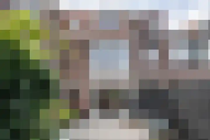 Kloppersingel 25 Haarlem thumbnail 21