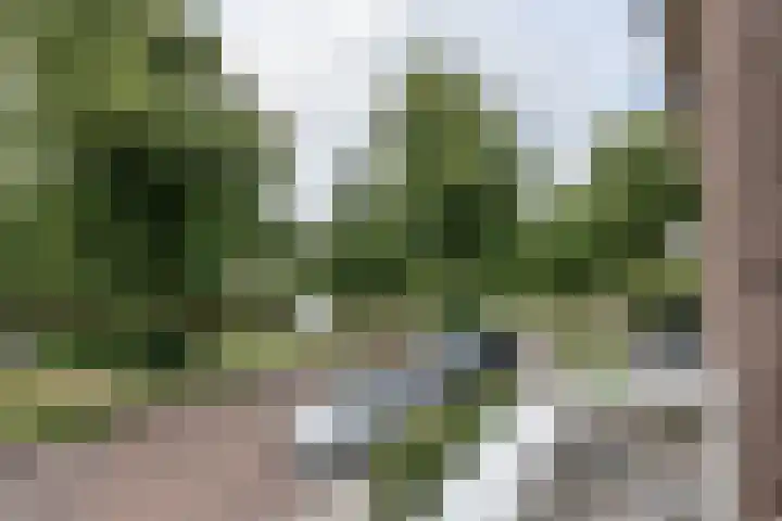 Kloppersingel 25 Haarlem thumbnail 28