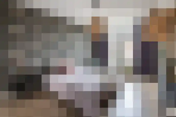 Kloppersingel 25 Haarlem thumbnail 29